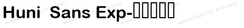 Huni  Sans Exp字体转换